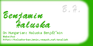 benjamin haluska business card